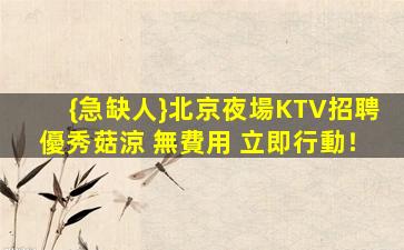 白山酒吧招聘